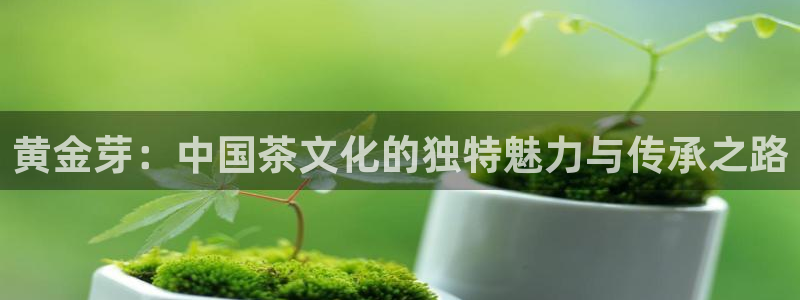 鸿运在线投资平台