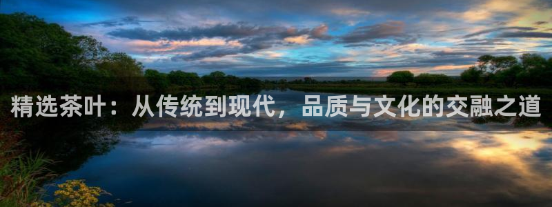 鸿运公司有哪些平台