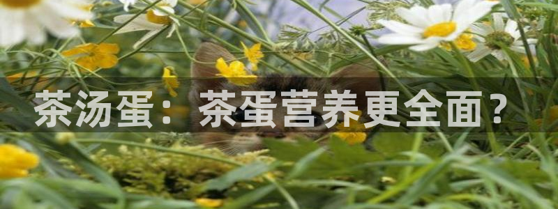 鸿运彩票平台快三