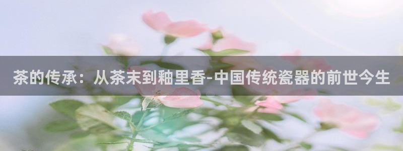 怎么进鸿运彩票平台