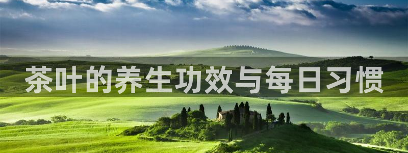 大发云鸿运平台