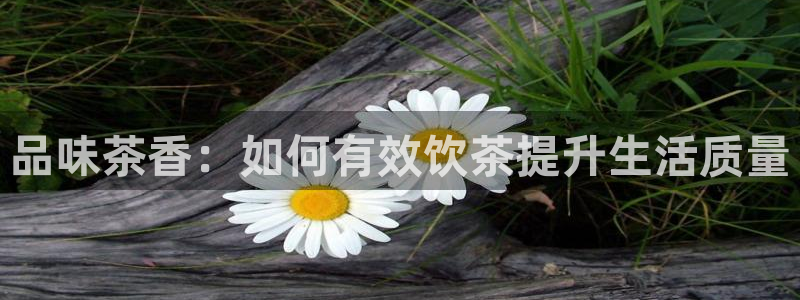 鸿运平台进入