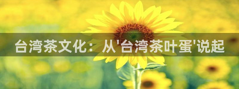 鸿运九九平台