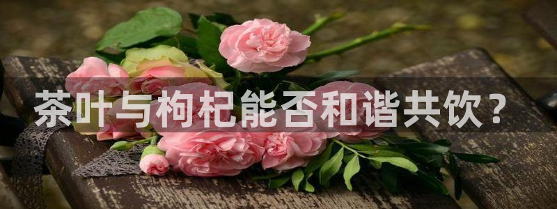 鸿运当头社交平台