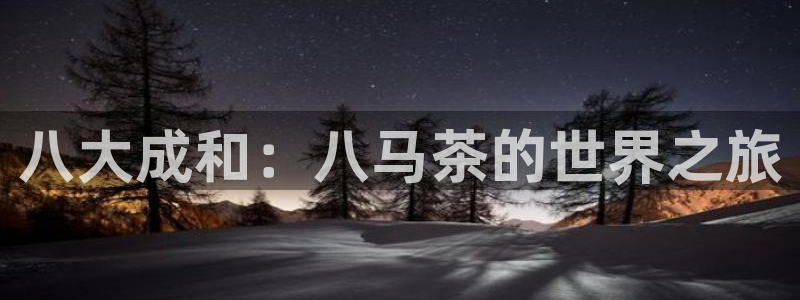 新鸿运娱乐平台