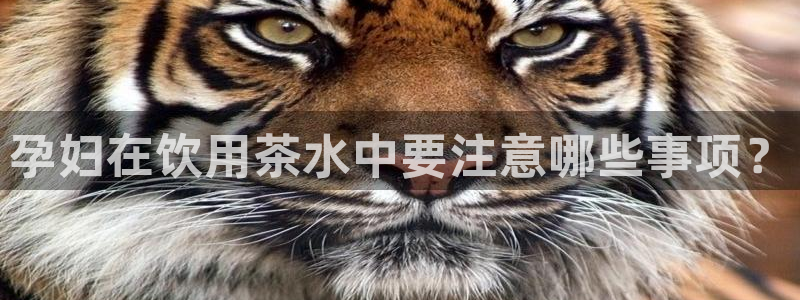 鸿运彩票平台怎样下载