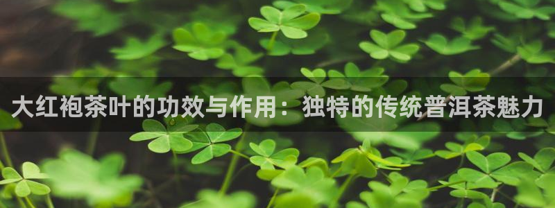 大发平台鸿运彩票