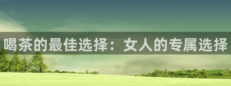 游戏鸿运平台网站