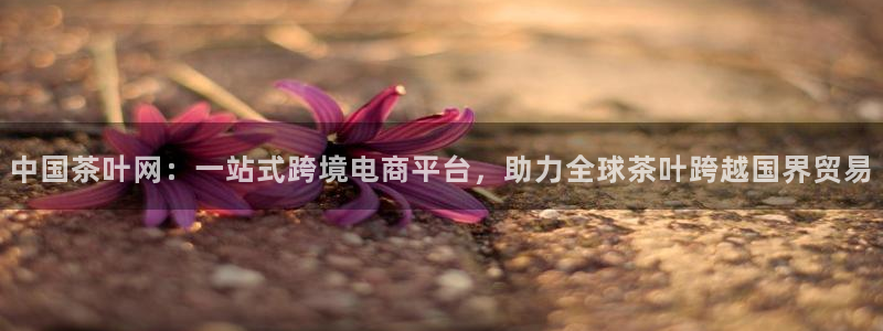 鸿运直播平台安卓版