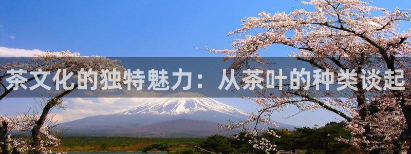 鸿运网登录平台