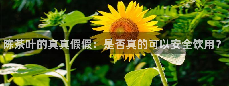 鸿运网络麻将平台