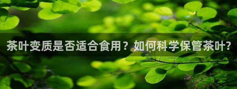 鸿运彩票平台登录