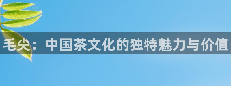 鸿运通什么平台