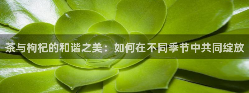 鸿运信息平台