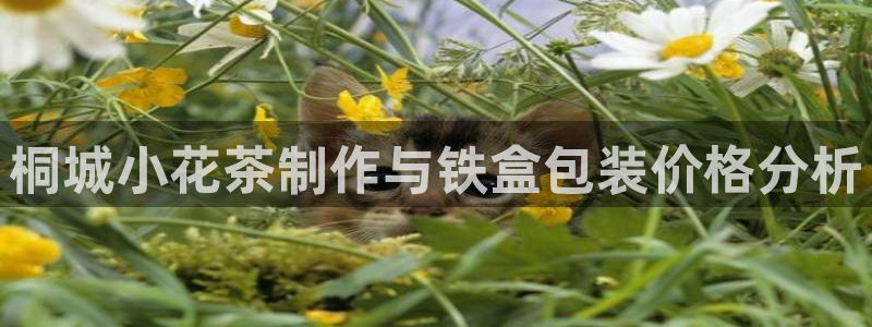 鸿运网络麻将平台