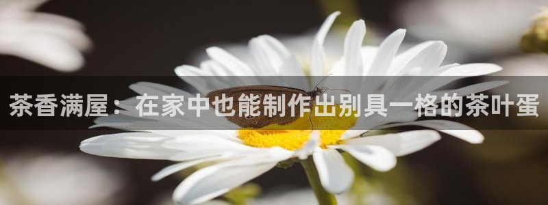 大发云鸿运平台