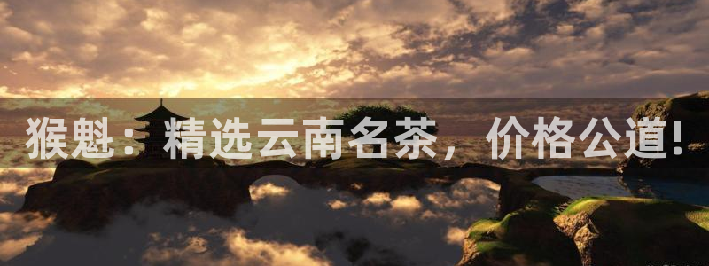 鸿运服务平台是什么