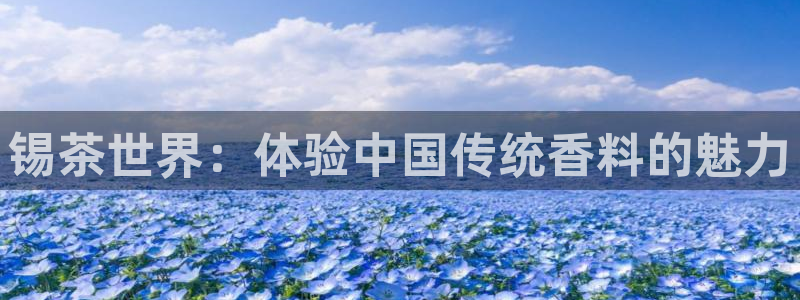 鸿运集团平台招聘