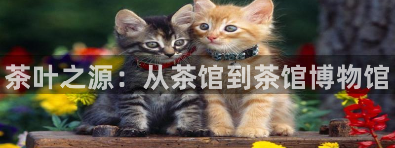 鸿运平台怎么赚钱