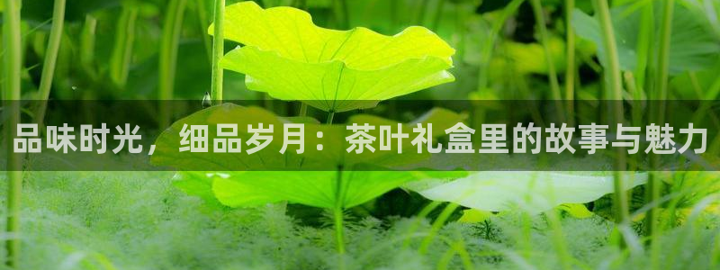 鸿运配资平台
