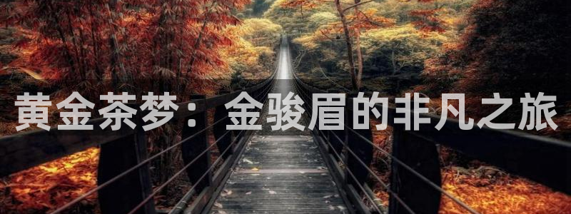 众信鸿运平台