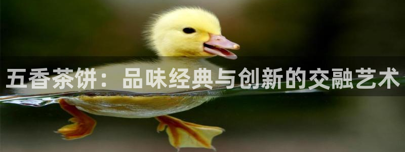 鸿运宝投资平台