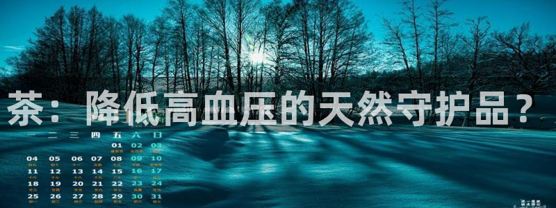 鸿运现场平台开户