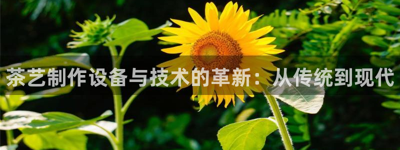 鸿运国际注册平台