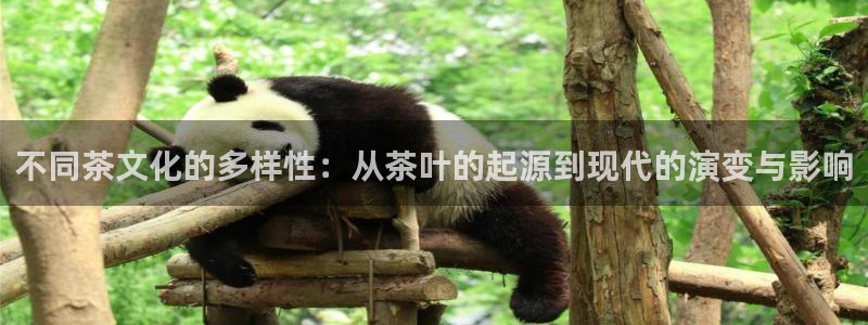 鸿运娱平台