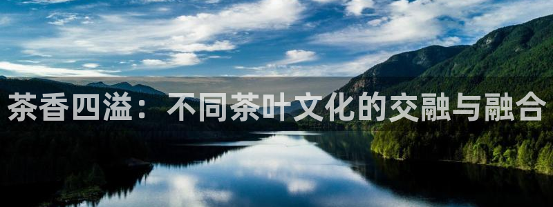 鸿运彩票平台登录不了