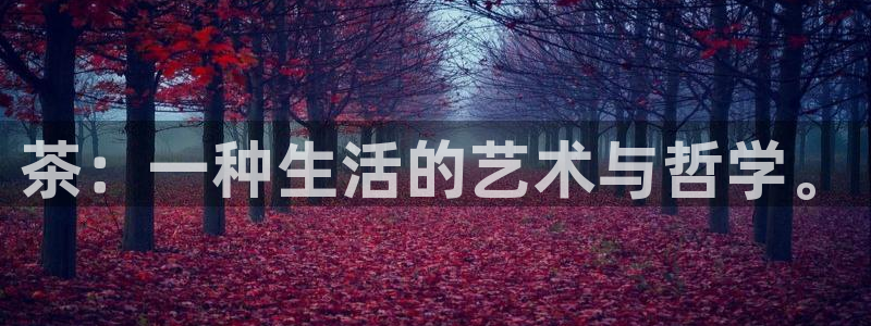 九九鸿运平台