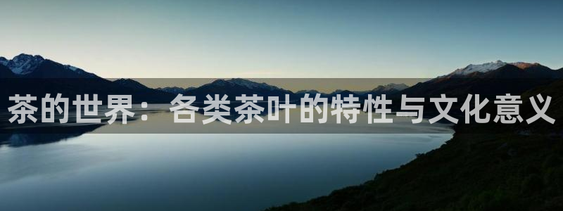鸿运国际平台代理