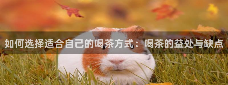 鸿运国际娱平台