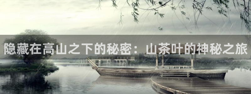 鸿运平台投资诈骗