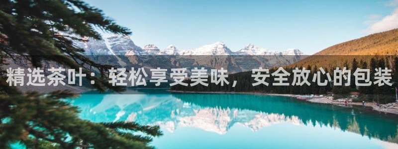下载鸿运平台