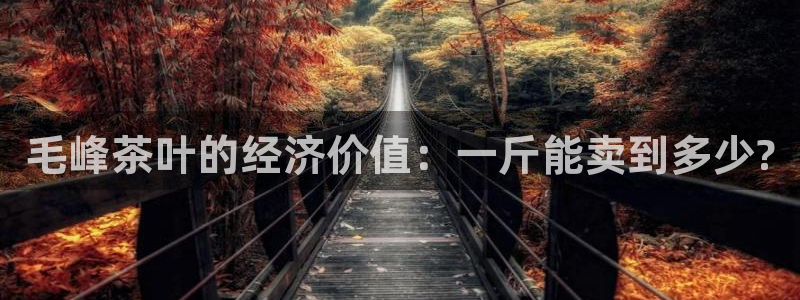 鸿运当头平台好吗