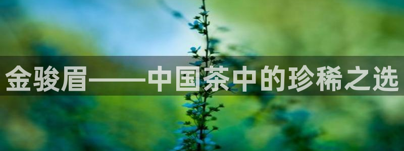 鸿运连锁管理平台
