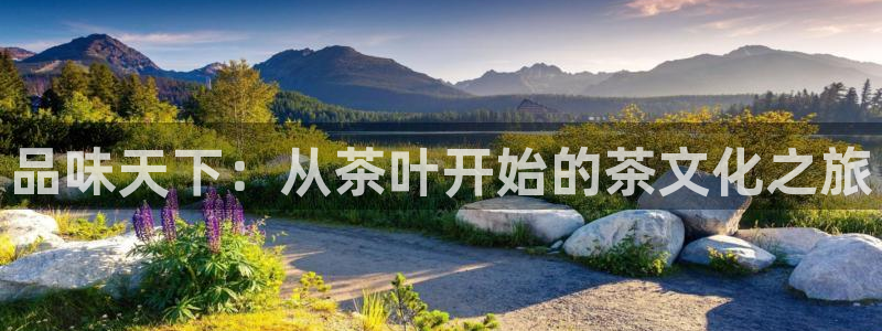 鸿运当头直播平台