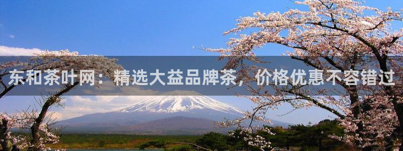 鸿运借款平台可靠吗