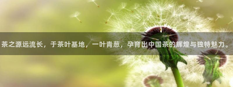 鸿运彩票平台