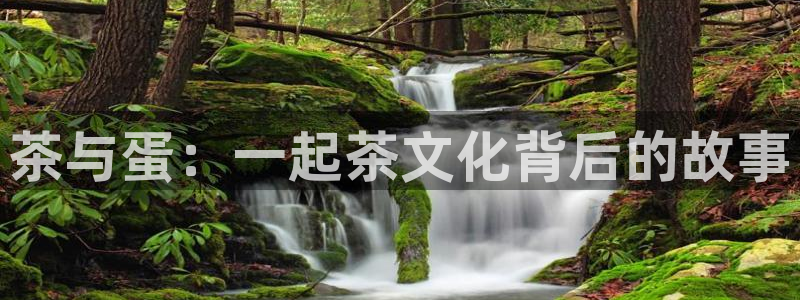 谢鸿运平台
