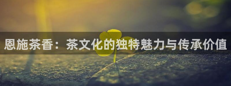 鸿运达出票平台