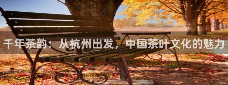 鸿运国际游戏平台