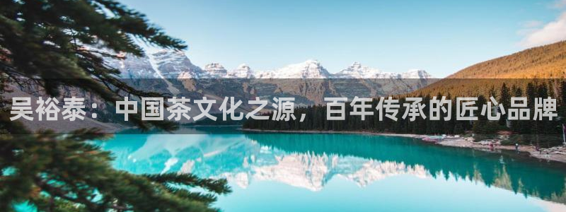 鸿运国际平台咋样