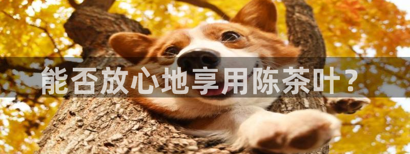 下载鸿运直播平台