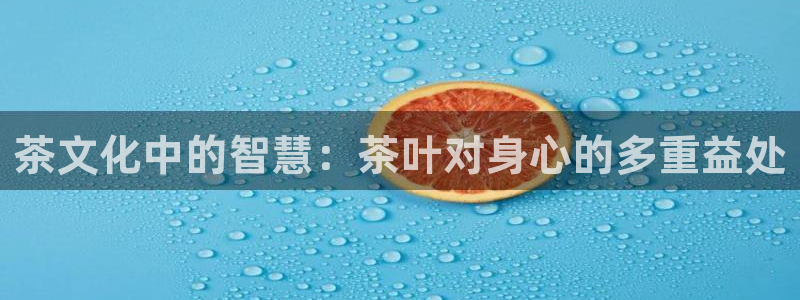 会员鸿运国际平台