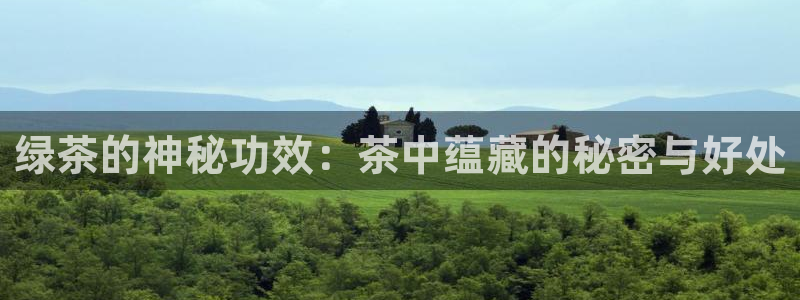会员鸿运国际平台