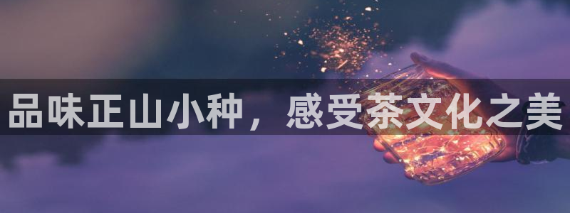 鸿运信投平台