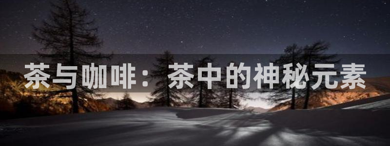 鸿运国际时时彩平台