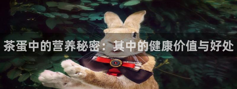 鸿运平台在线客服